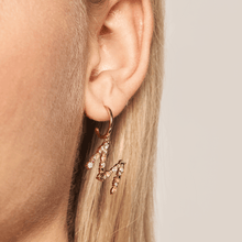 Load image into Gallery viewer, Letter M earrings