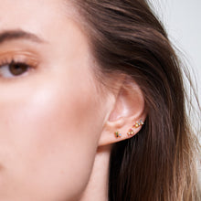 Load image into Gallery viewer, La Palette Earrings Set