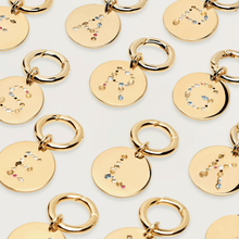 Load image into Gallery viewer, Letter N Pet Charm