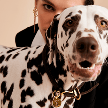 Load image into Gallery viewer, Letter N Pet Charm