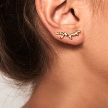 Load image into Gallery viewer, Safari gold earrings

