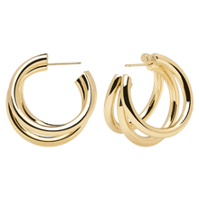 Load image into Gallery viewer, True gold earrings
