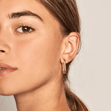 Load image into Gallery viewer, Muze gold earrings
