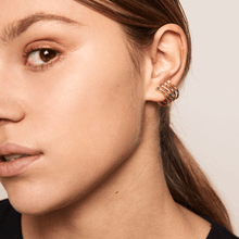 Load image into Gallery viewer, Aqua Gold Earrings
