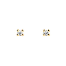 Load image into Gallery viewer, Essentia Gold Earrings
