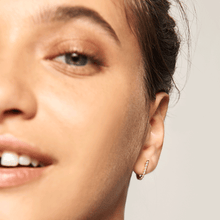 Load image into Gallery viewer, Bird Gold Earrings
