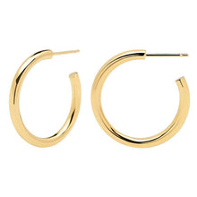 Load image into Gallery viewer, Core Gold Earrings
