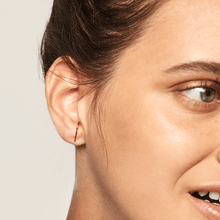 Load image into Gallery viewer, Light Bird Gold Earrings
