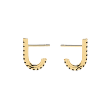 Load image into Gallery viewer, Black Bird Gold Earrings
