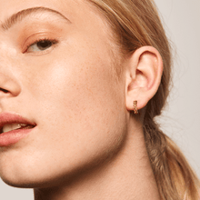 Load image into Gallery viewer, Yellow Bird earrings
