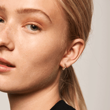 Load image into Gallery viewer, Lady Bird earrings
