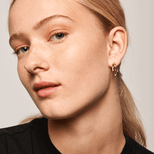 Load image into Gallery viewer, Solstice Gold Earrings
