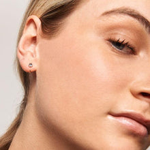 Load image into Gallery viewer, Astra Gold Earrings
