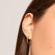 Load image into Gallery viewer, Champagne Medium Hoops Gold
