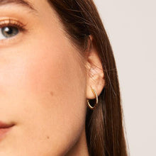 Load image into Gallery viewer, Olive Medium Hoops Gold
