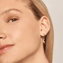 Load image into Gallery viewer, Bang Bang Gold Earrings
