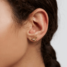 Load image into Gallery viewer, Narcise Gold Earrings
