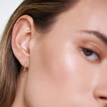 Load image into Gallery viewer, Ombré Earrings 
