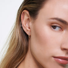 Load image into Gallery viewer, Ombré Earrings 
