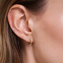 Load image into Gallery viewer, Ombré Earrings 
