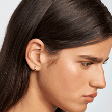 Load image into Gallery viewer, Lux Earrings
