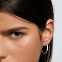 Load image into Gallery viewer, Cavalier Earrings

