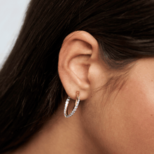 Load image into Gallery viewer, Cavalier Earrings
