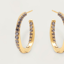 Load image into Gallery viewer, Cavalier Earrings
