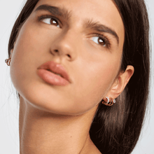Load image into Gallery viewer, Royal Earrings

