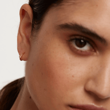 Load image into Gallery viewer, Champagne Solitary Earrings Gold
