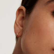 Load image into Gallery viewer, Champagne Solitary Earrings Gold
