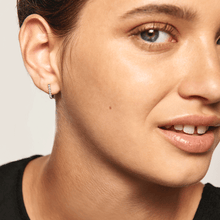 Load image into Gallery viewer, Bird Silver Earrings
