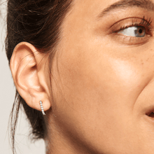 Load image into Gallery viewer, Bird Silver Earrings
