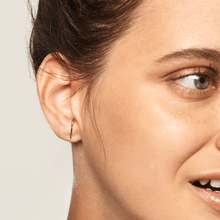 Load image into Gallery viewer, Light Bird Silver Earrings
