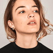 Load image into Gallery viewer, Pure earrings
