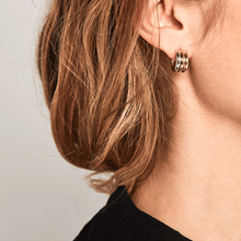 Load image into Gallery viewer, Pure earrings
