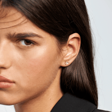 Load image into Gallery viewer, Joanne Earrings
