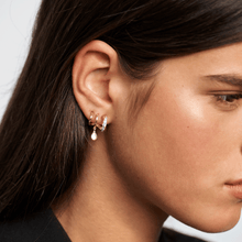 Load image into Gallery viewer, Lumiere Earrings
