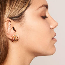 Load image into Gallery viewer, Aqua Gold Earrings
