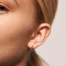 Load image into Gallery viewer, Bella Gold Earrings
