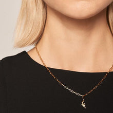 Load image into Gallery viewer, Bang Bang Necklace
