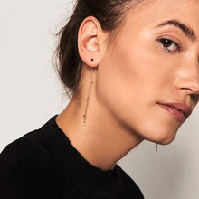 Load image into Gallery viewer, Fierce gold earrings
