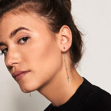 Load image into Gallery viewer, Fierce silver earrings
