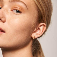 Load image into Gallery viewer, Lady Bird earrings
