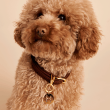 Load image into Gallery viewer, Letter N Pet Charm
