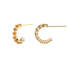 Load image into Gallery viewer, Yellow Bird earrings
