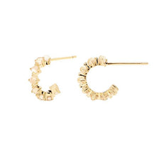 Load image into Gallery viewer, Lady Bird earrings
