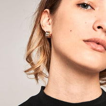 Load image into Gallery viewer, Pure earrings
