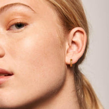 Load image into Gallery viewer, Yellow Bird earrings
