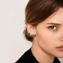 Load image into Gallery viewer, Grand Pacific earrings
